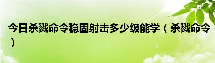 今日杀戮命令稳固射击多少级能学（杀戮命令）