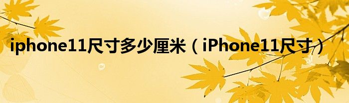 iphone11尺寸多少厘米（iPhone11尺寸）