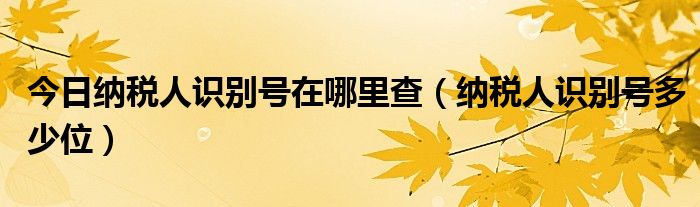 今日纳税人识别号在哪里查（纳税人识别号多少位）