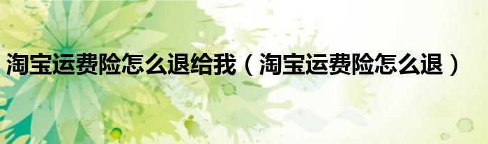 淘宝运费险怎么退给我（淘宝运费险怎么退）