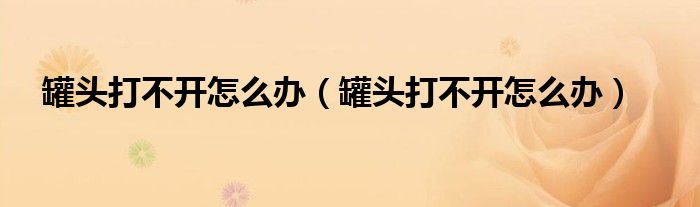 罐头打不开怎么办（罐头打不开怎么办）