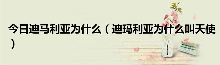 今日迪马利亚为什么（迪玛利亚为什么叫天使）