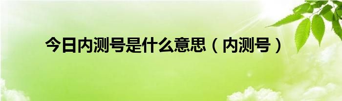 今日内测号是什么意思（内测号）