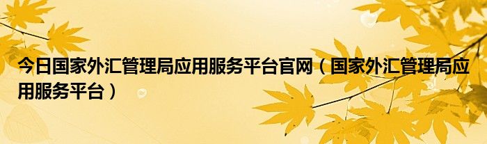 今日国家外汇管理局应用服务平台官网（国家外汇管理局应用服务平台）