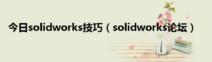 今日solidworks技巧（solidworks论坛）