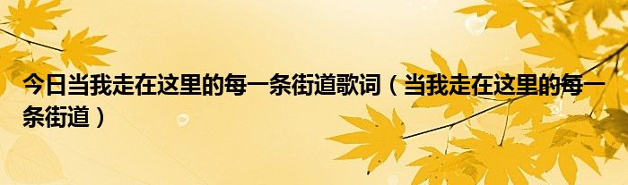 今日当我走在这里的每一条街道歌词（当我走在这里的每一条街道）