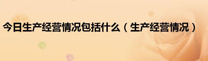 今日生产经营情况包括什么（生产经营情况）