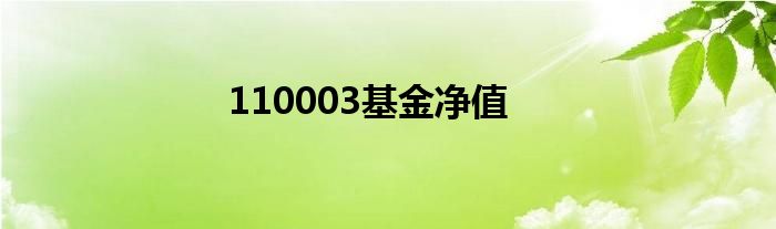 110003基金净值