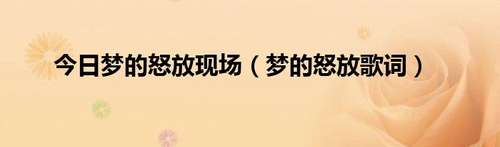 今日梦的怒放现场（梦的怒放歌词）
