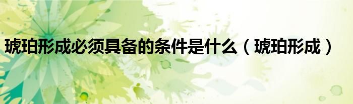 琥珀形成必须具备的条件是什么（琥珀形成）