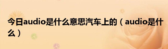今日audio是什么意思汽车上的（audio是什么）