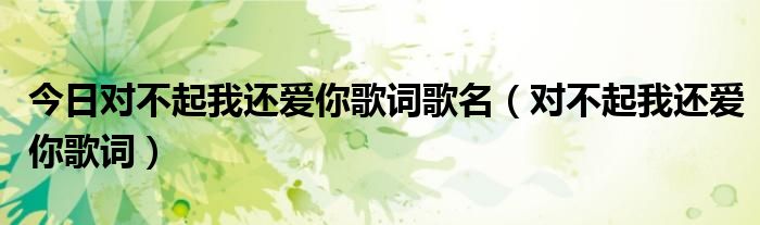 今日对不起我还爱你歌词歌名（对不起我还爱你歌词）