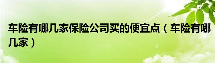 车险有哪几家保险公司买的便宜点（车险有哪几家）