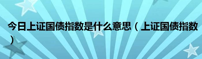 今日上证国债指数是什么意思（上证国债指数）