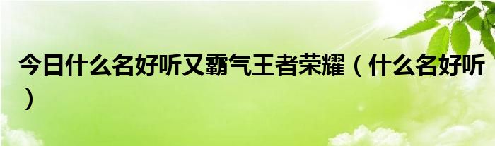 今日什么名好听又霸气王者荣耀（什么名好听）