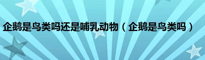企鹅是鸟类吗还是哺乳动物（企鹅是鸟类吗）