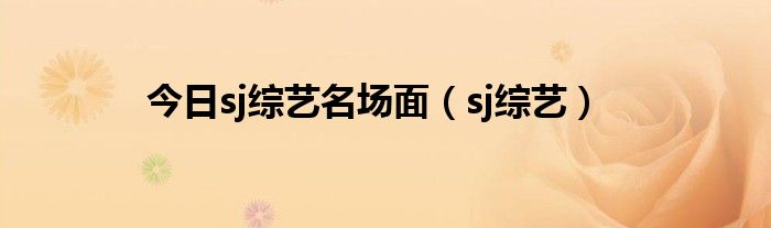 今日sj综艺名场面（sj综艺）