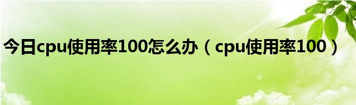 今日cpu使用率100怎么办（cpu使用率100）