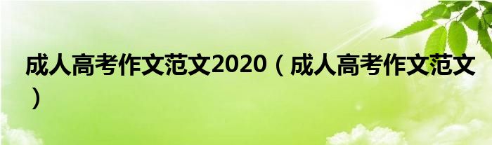 成人高考作文范文2020（成人高考作文范文）