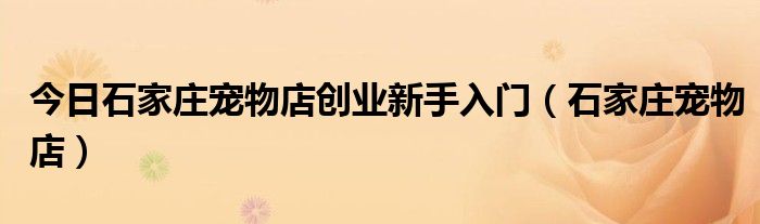 今日石家庄宠物店创业新手入门（石家庄宠物店）