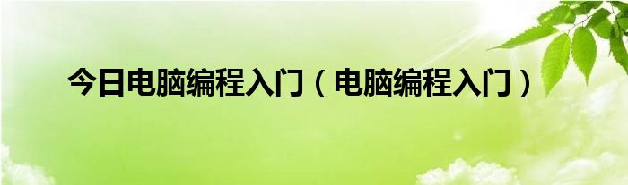 今日电脑编程入门（电脑编程入门）