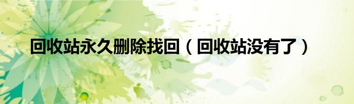 回收站永久删除找回（回收站没有了）