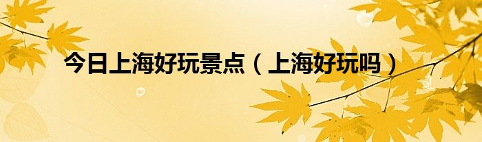 今日上海好玩景点（上海好玩吗）
