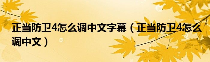 正当防卫4怎么调中文字幕（正当防卫4怎么调中文）