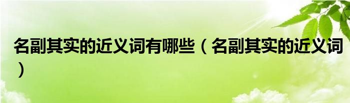 名副其实的近义词有哪些（名副其实的近义词）