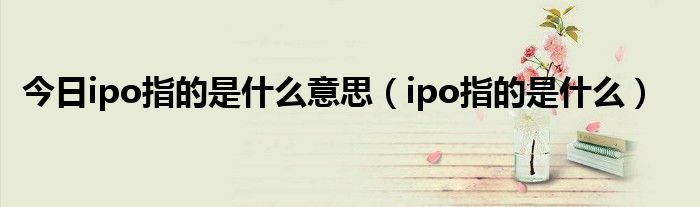 今日ipo指的是什么意思（ipo指的是什么）
