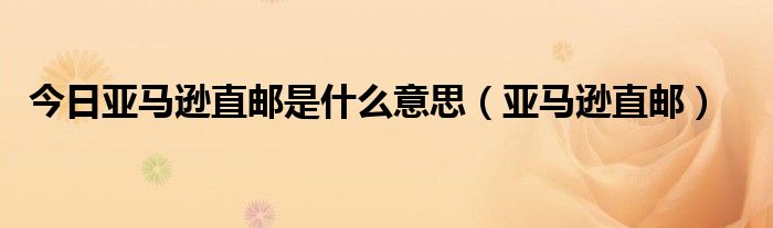 今日亚马逊直邮是什么意思（亚马逊直邮）