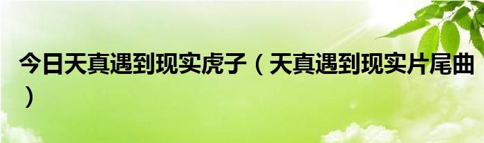 今日天真遇到现实虎子（天真遇到现实片尾曲）