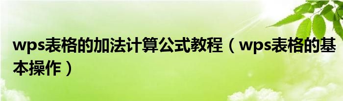 wps表格的加法计算公式教程（wps表格的基本操作）