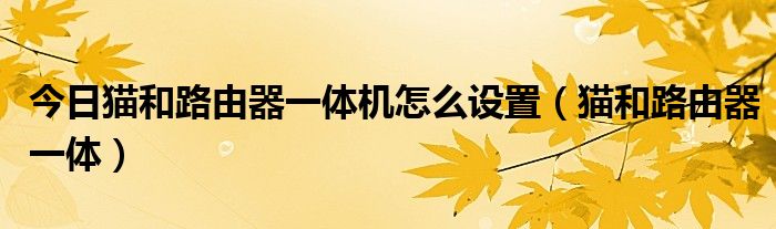 今日猫和路由器一体机怎么设置（猫和路由器一体）