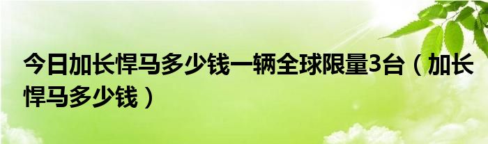 今日加长悍马多少钱一辆全球限量3台（加长悍马多少钱）