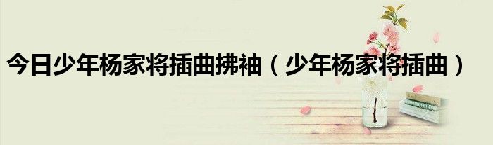 今日少年杨家将插曲拂袖（少年杨家将插曲）