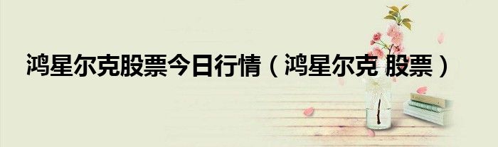 鸿星尔克股票今日行情（鸿星尔克 股票）