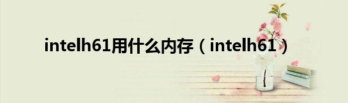 intelh61用什么内存（intelh61）