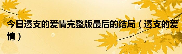 今日透支的爱情完整版最后的结局（透支的爱情）