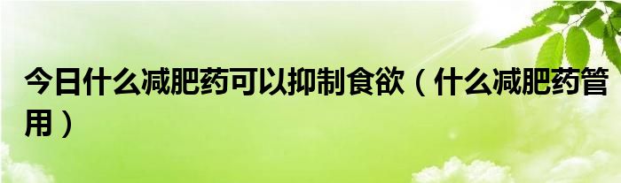 今日什么减肥药可以抑制食欲（什么减肥药管用）