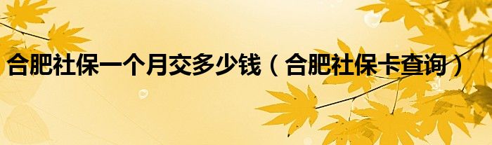 合肥社保一个月交多少钱（合肥社保卡查询）