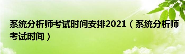 系统分析师考试时间安排2021（系统分析师考试时间）