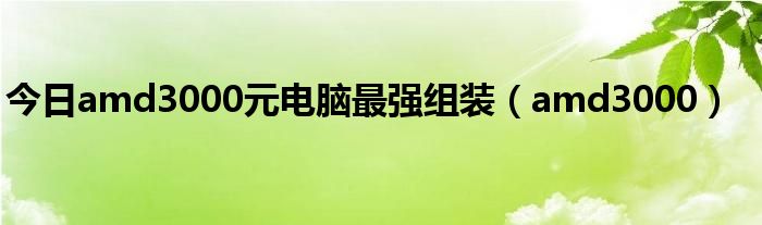 今日amd3000元电脑最强组装（amd3000）
