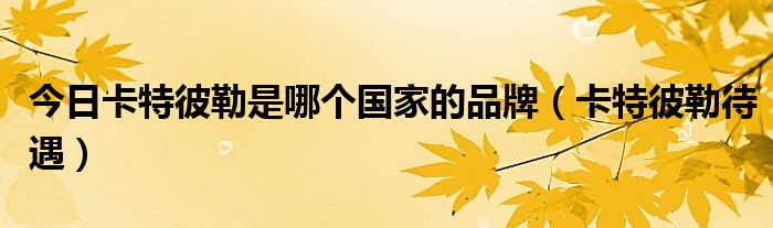 今日卡特彼勒是哪个国家的品牌（卡特彼勒待遇）