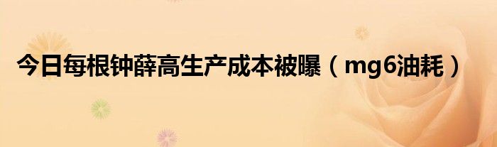今日每根钟薛高生产成本被曝（mg6油耗）