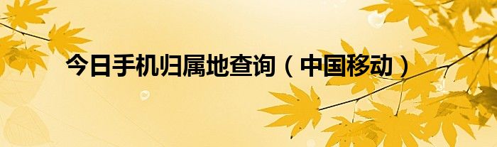 今日手机归属地查询（中国移动）