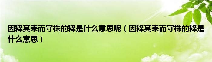 因释其耒而守株的释是什么意思呢（因释其耒而守株的释是什么意思）