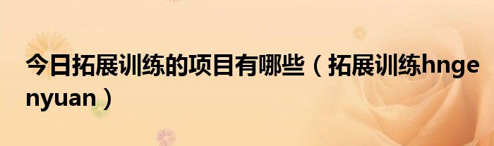 今日拓展训练的项目有哪些（拓展训练hngenyuan）