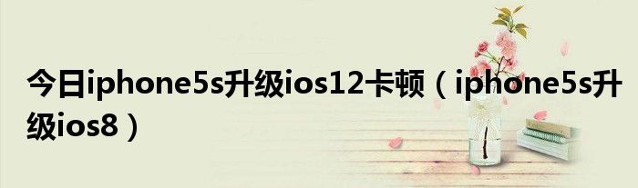 今日iphone5s升级ios12卡顿（iphone5s升级ios8）