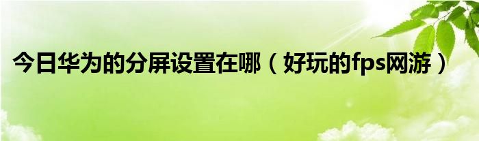 今日华为的分屏设置在哪（好玩的fps网游）